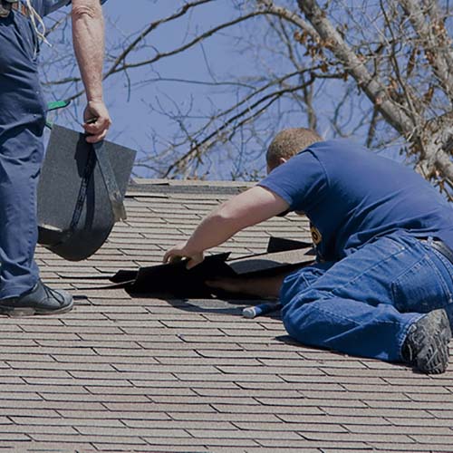 Roofing Repairs / Replacements Wise Guys